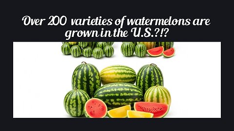 Fun Fact for May 25th 2025 Pt 1