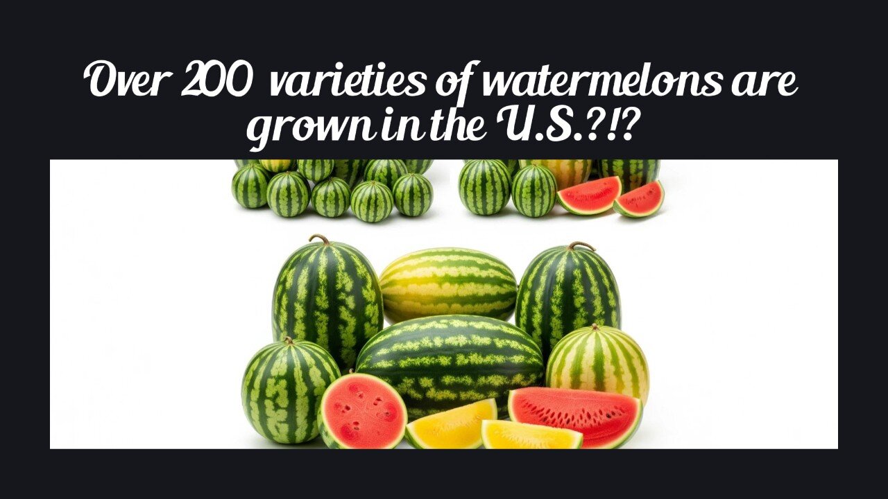 Fun Fact for May 25th 2025 Pt 1