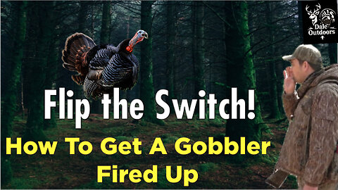 Flip the Switch on Spring Gobblers/ How To Get Gobblers Fired Up