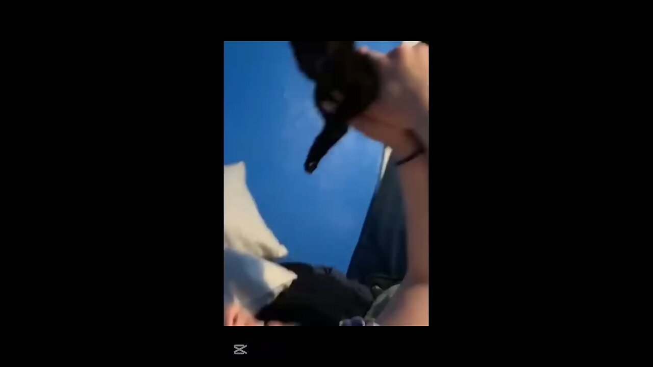 Try Not to Laugh: Cat Chaos Edition