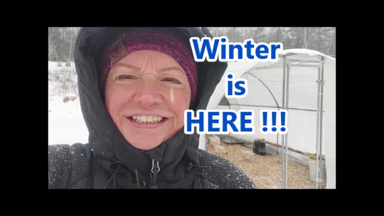 12 -2- 2025 Winter has Arrived on the Homestead !! | Checking in on the Chickens