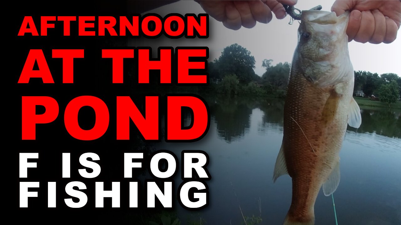 Afternoon at the Pond