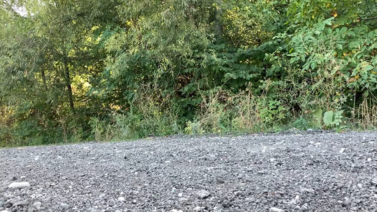 making burger in camping