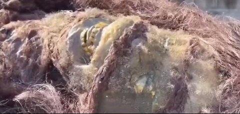 Man Claims To Have A "Bigfoot" That's Been Frozen Since 1953!!