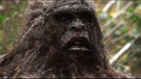 Discovered: Bigfoot!