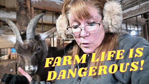 I RISKED My LIFE For This!