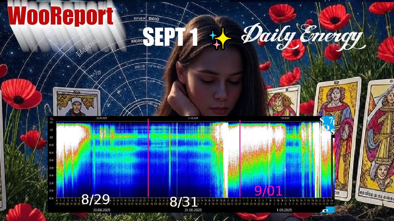 ✨ Collective Tarot & Energy Update 🔮 | WOW Power 80 Schumann Spike + Strength Rising 🌞