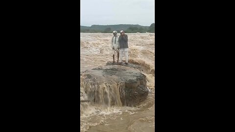 Funny Moment