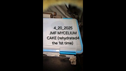 JMF MUSHROOM CAKE