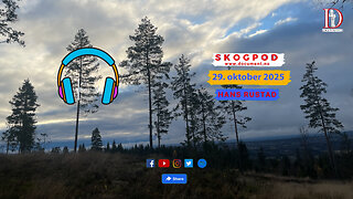 Skogpod 29. oktober 2025