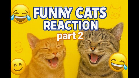 funny cats reaction part 2