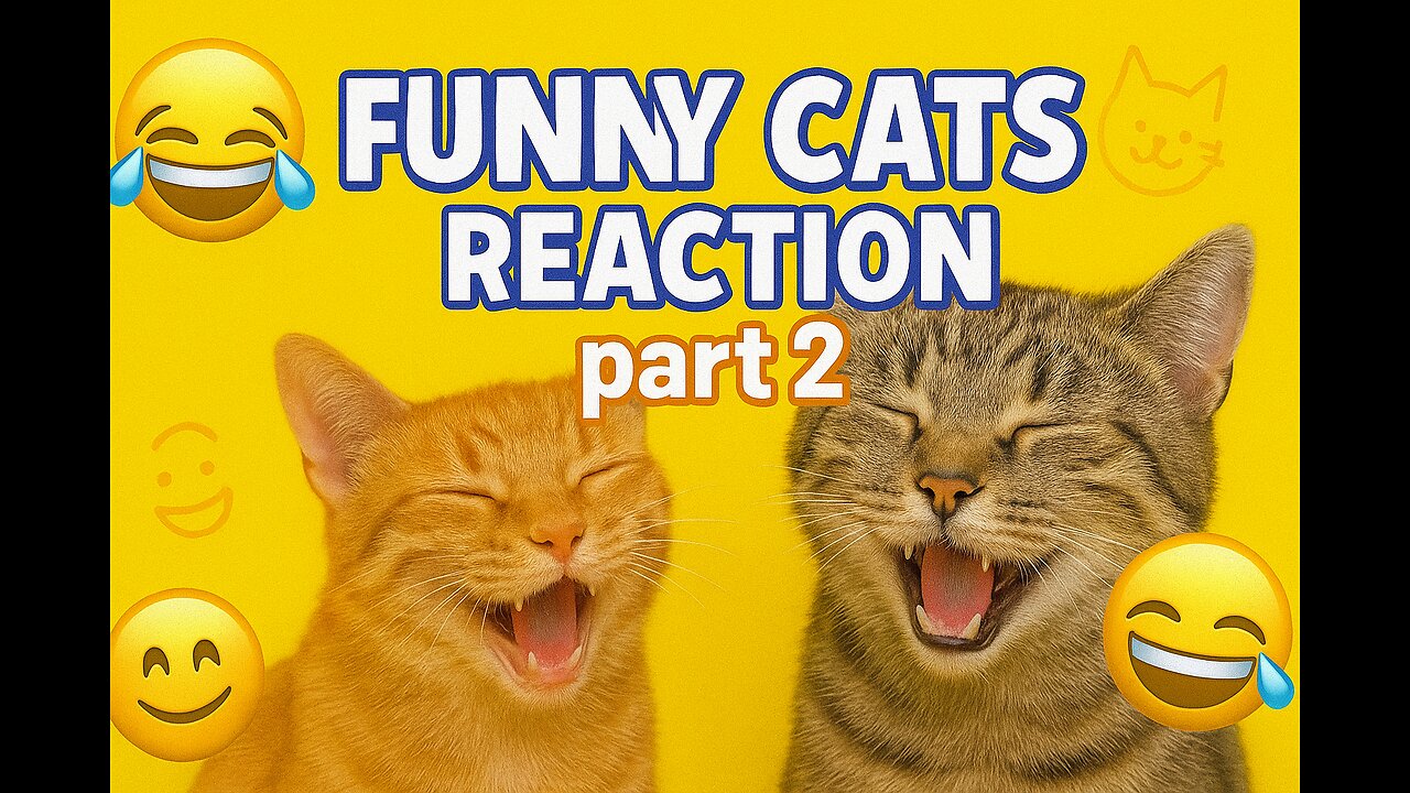 funny cats reaction part 2