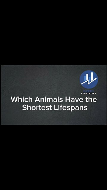 Which Animals Have the Shortest Lifespans...