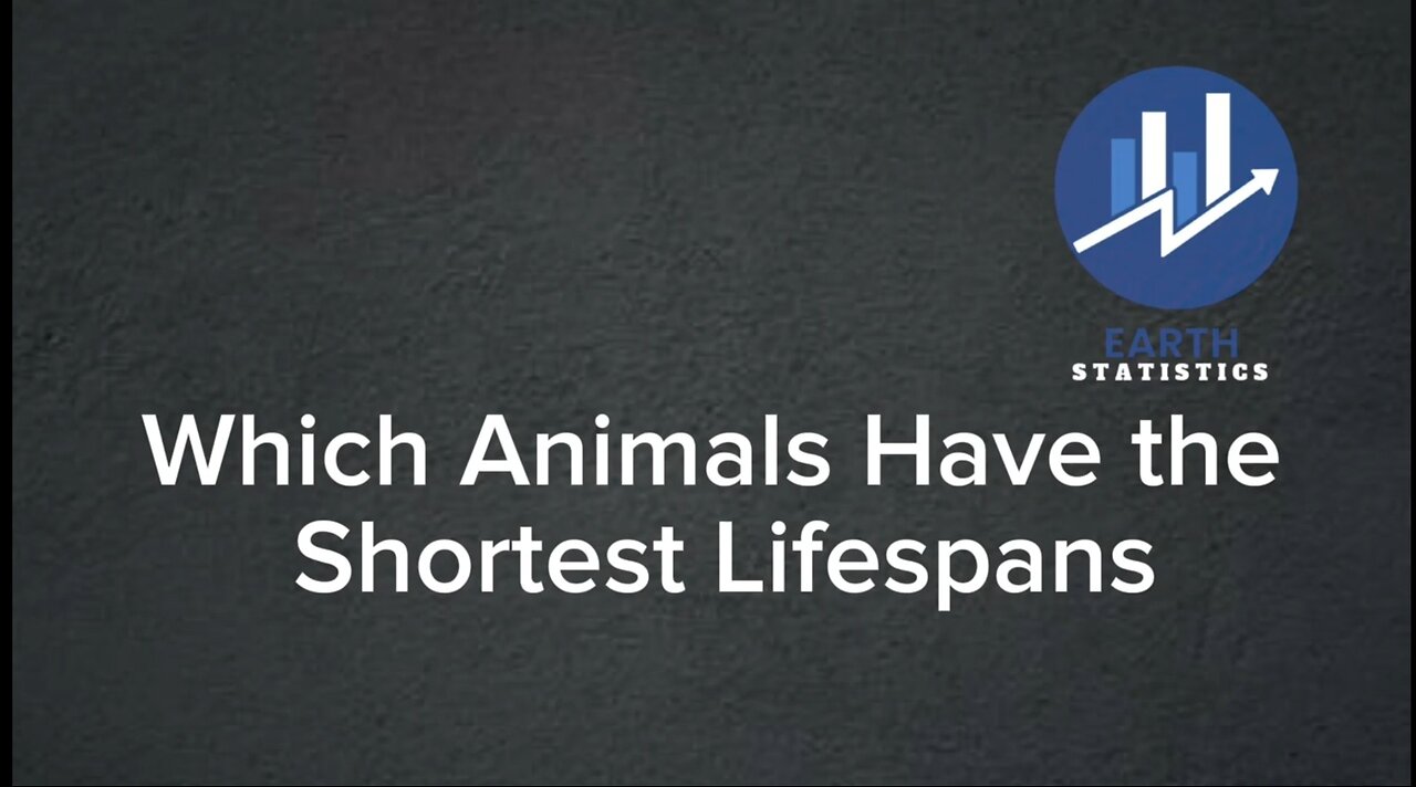 Which Animals Have the Shortest Lifespans...