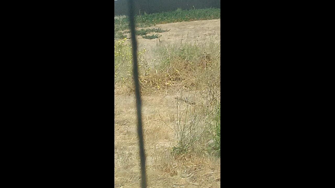 drac d3mon that assaulted humans