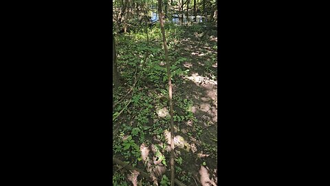 Off Trail Flooding