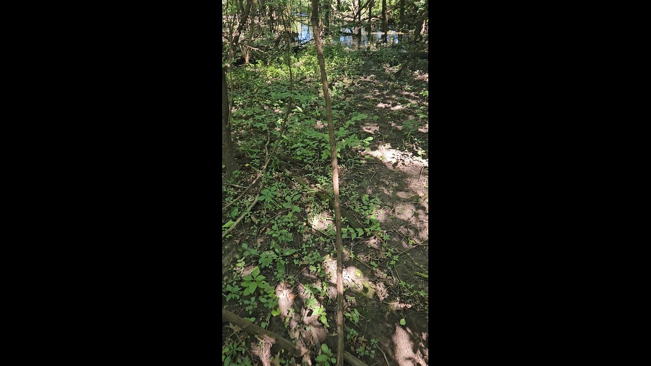 Off Trail Flooding