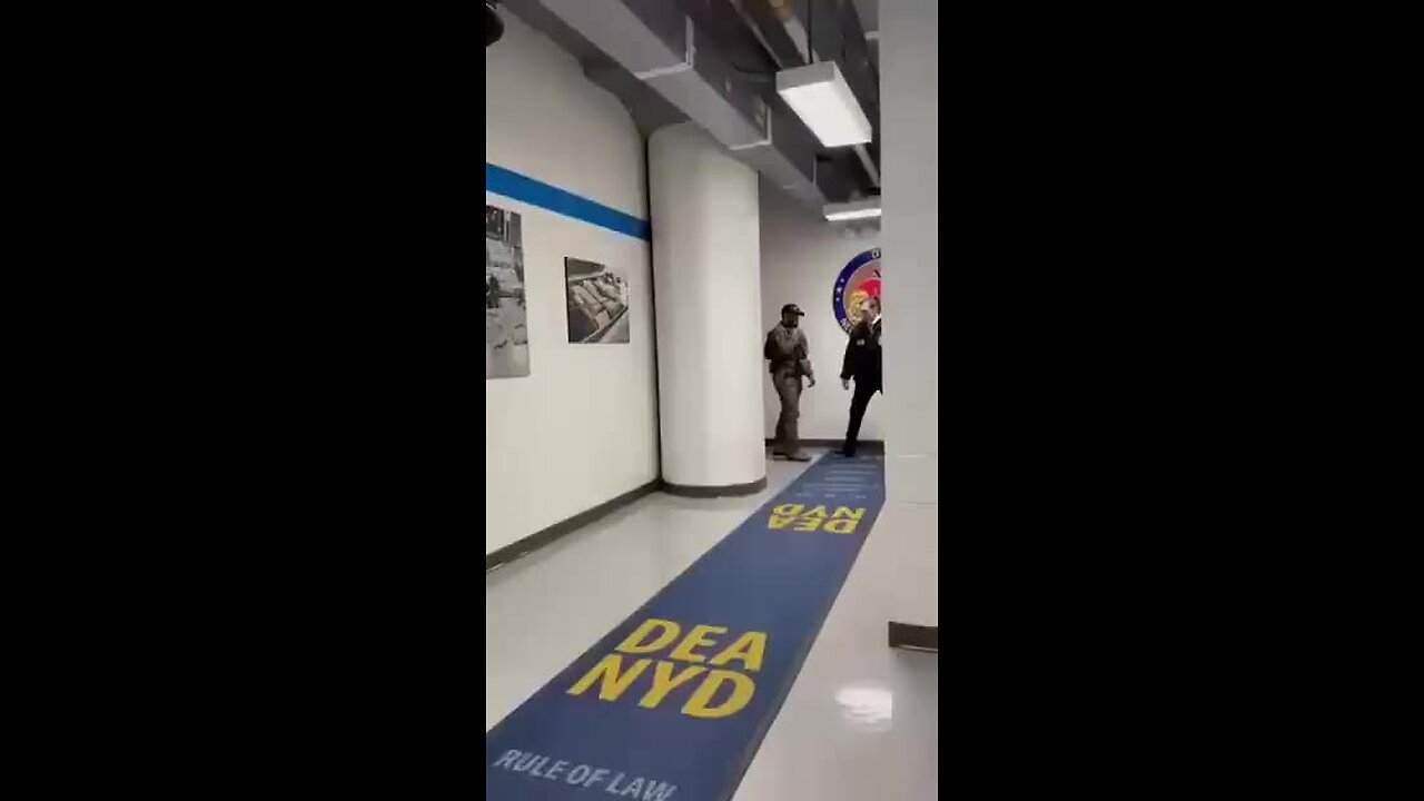 ZDT THEATER: MORONS, MUSIC AND MAYHEM