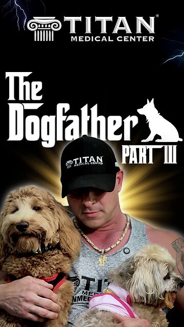 The Dogfather 3 with John Tsikouris