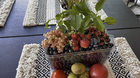 still life
