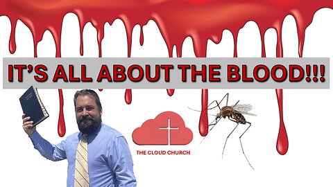 It's All About The Blood!