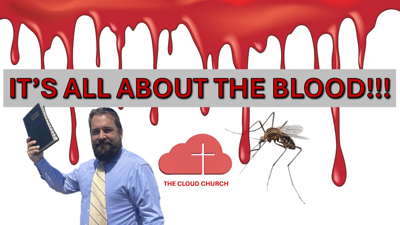 It's All About The Blood!