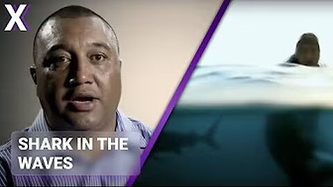 Diver Left Alone With Deadly Shark and Lives To Tell The Story