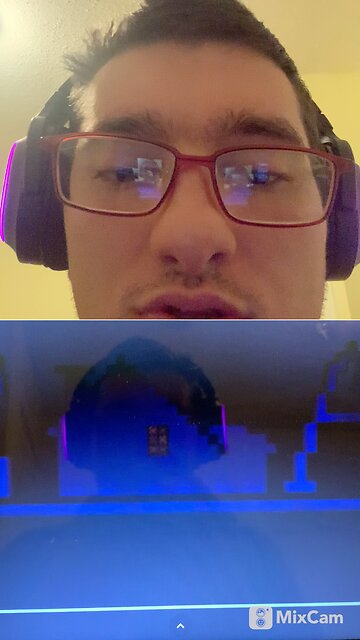 My reaction to a home alone house tour in Minecraft