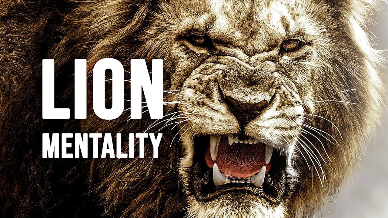 Motivational & Inspirational Quotes: LION MENTALITY Unlocking the Power of Love & Wisdom! 🌟