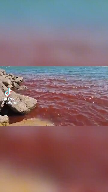 The Sea of Galilee Just Turned Red…