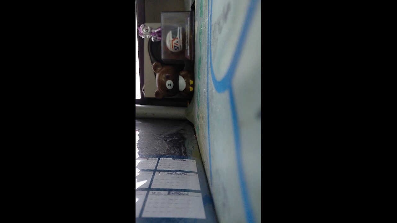 2025-12-15 故宮佛像