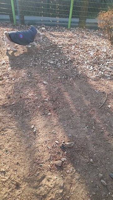 20260130. Jesus Christ