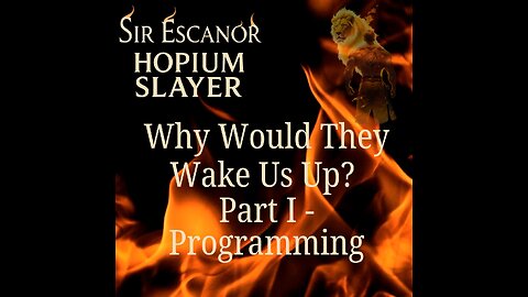 003 Why Would They Wake Us Up? Part I – Programming