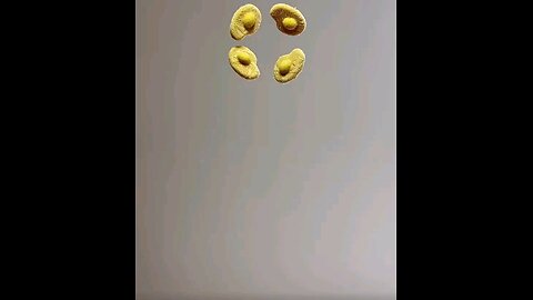 “This cat is hungry