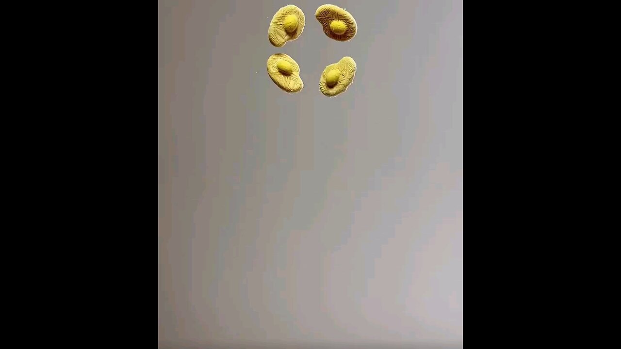 “This cat is hungry