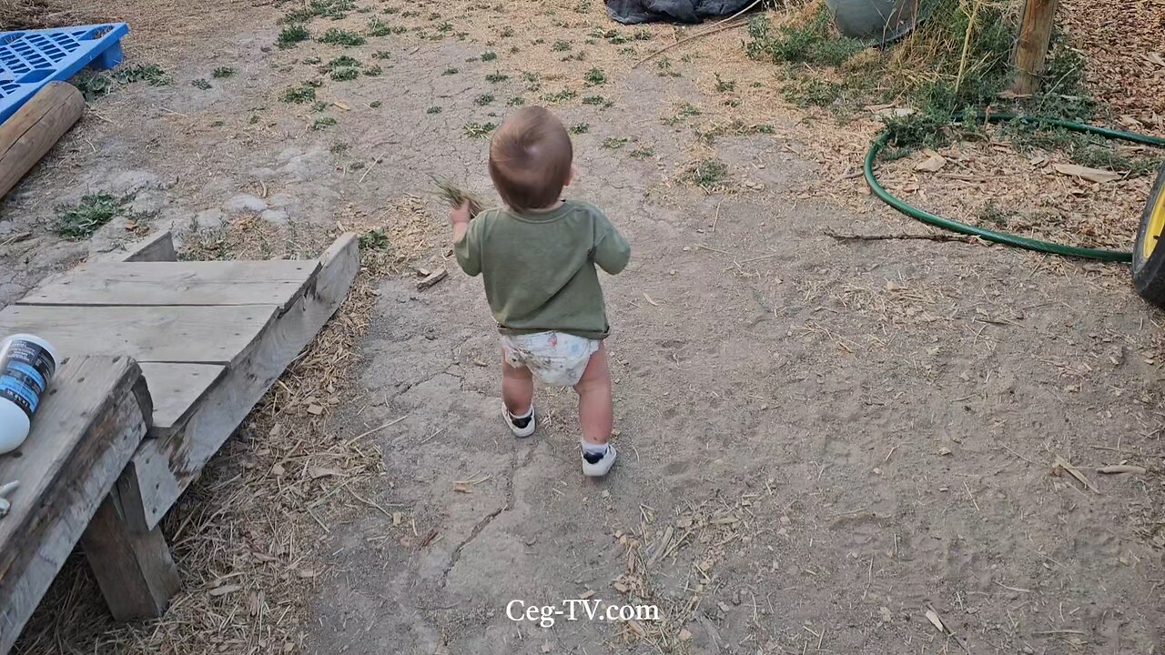 Graham Family Farm NW: 8:15 PM August 8 2025