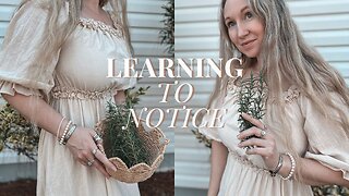 Learning to Notice | Quiet Winter Days at Home