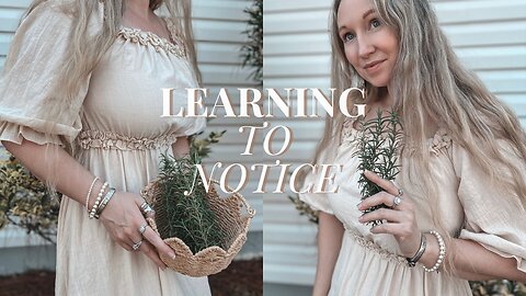 Learning to Notice | Quiet Winter Days at Home