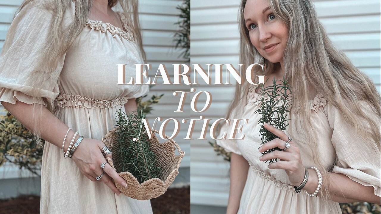 Learning to Notice | Quiet Winter Days at Home