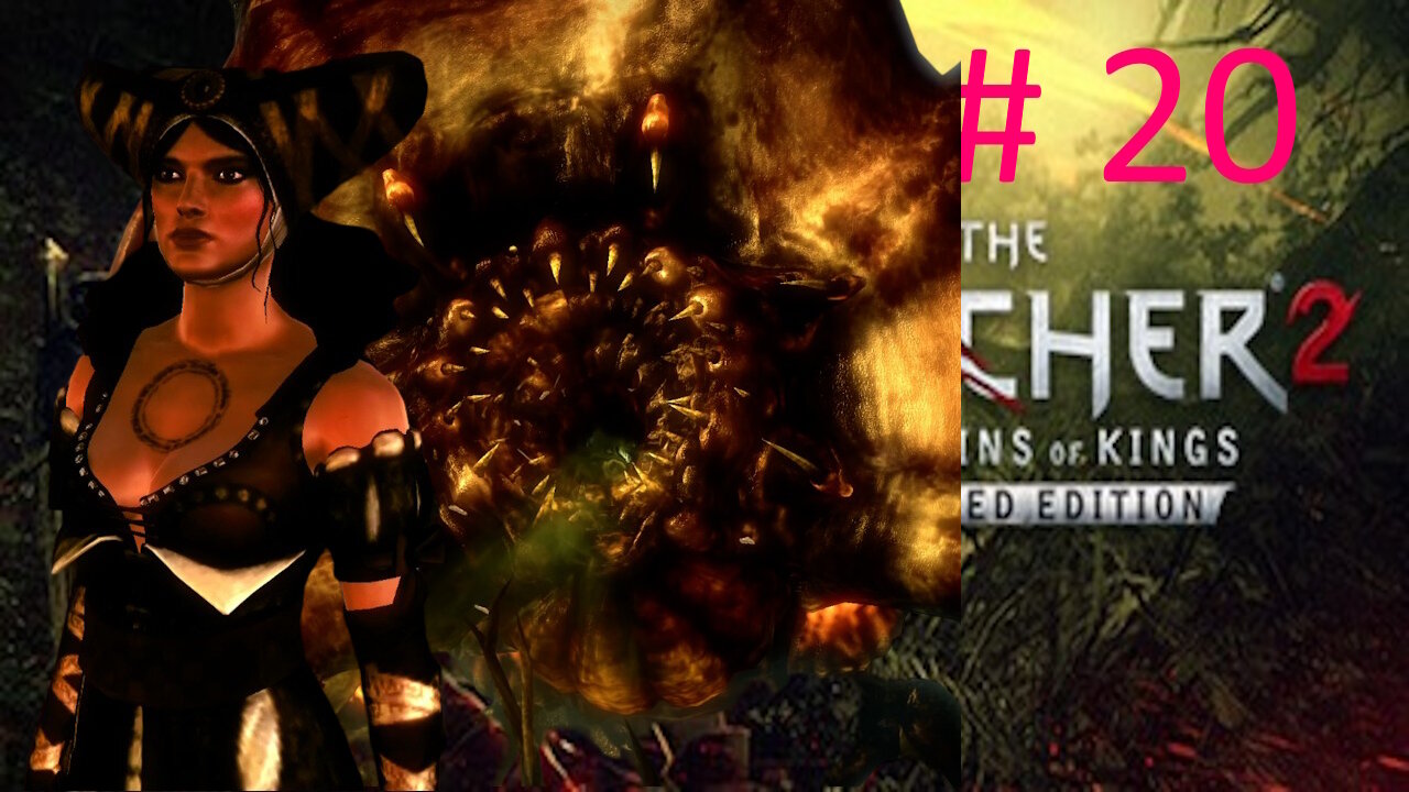 Let's Play Witcher 2 BLIND # 2 - The Kayran