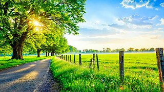 Music heals the heart and blood vessels🌿 Soothing music restores the nervous system,
