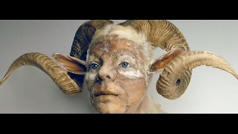 The 8ible & Hueman/An!mal Amal6amations - Gerald Johnson