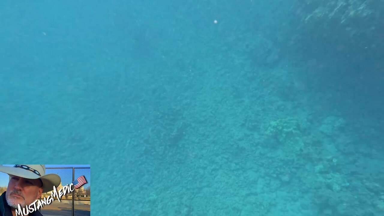 This is what it feels like to be a Democrat right now. 🐢