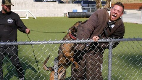 The Miz gets bitten by a dog: Miz and Mrs., July 11, 2022 @wwefree