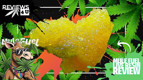 MULE FUEL 🫏⛽ (LIVE RESIN REVIEW) | REVIEWS 4 U