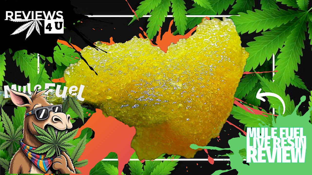 MULE FUEL 🫏⛽ (LIVE RESIN REVIEW) | REVIEWS 4 U