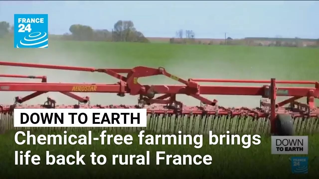 Chemical-free farming brings life back to rural France