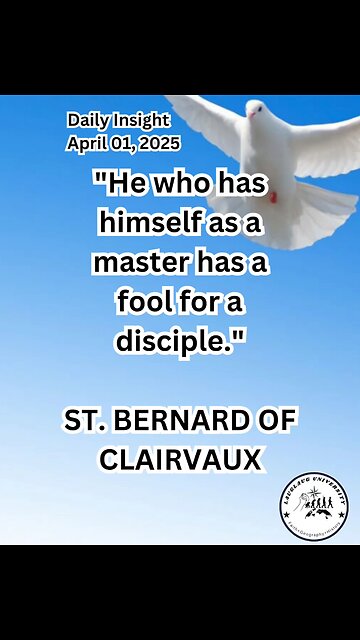 Daily Insight April 01, 2025