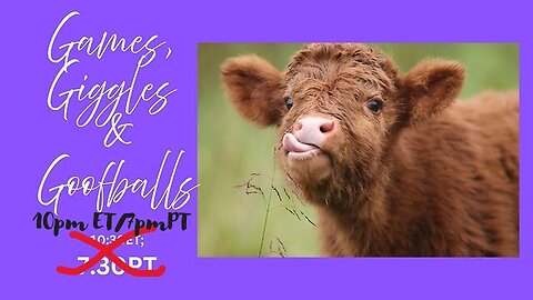 Games, Giggles & Goofballs
