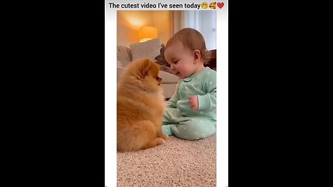 Bhau Bhau Time Dog And Baby 👶 🐕